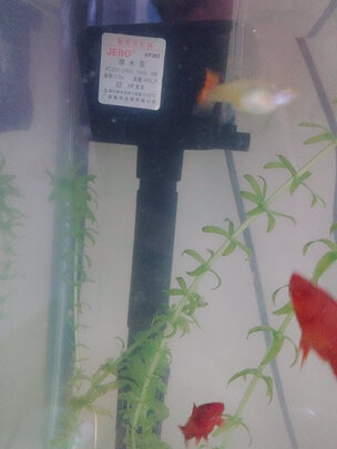 鱼缸水泵