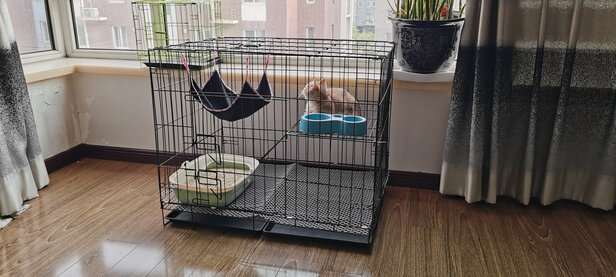 猫笼