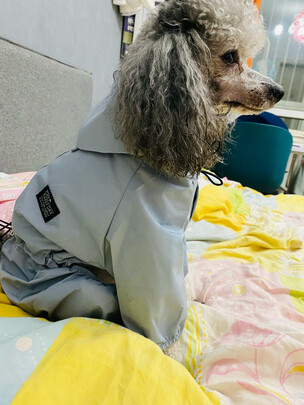 狗狗雨衣