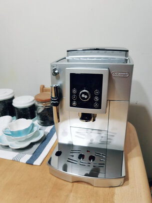 德龙（Delonghi）咖啡机 全自动咖啡机 欧洲原装进口 家用 自带打奶泡系统 ECAM22.110.SB