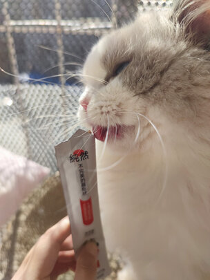 猫条猫零食