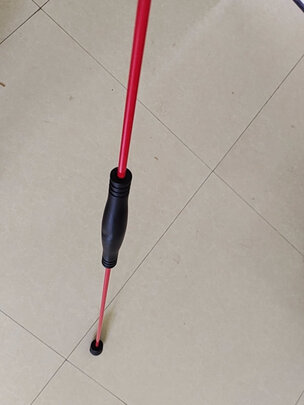 飞力士棒