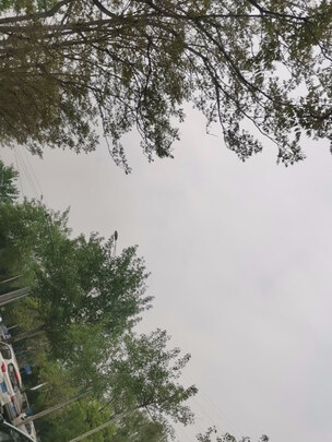 汽车玻璃修复液