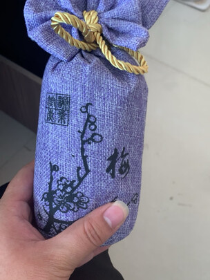 汽车竹炭包