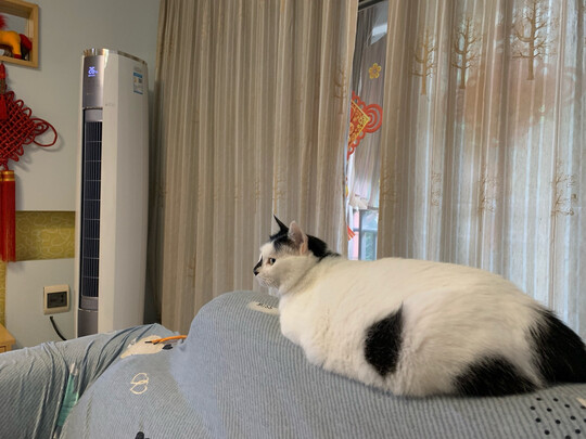 格力3匹云酷Ⅱ立式空调|独家剖析格力3匹云酷Ⅱ到底是差还是好？用后讲真相内幕