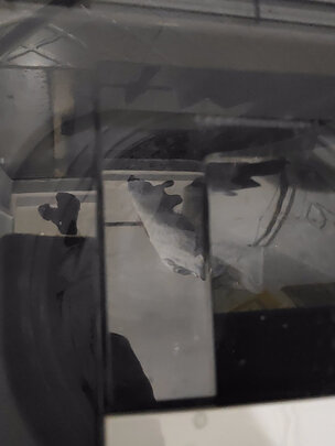 奥克斯HB30Q50-U508透明黑波轮洗衣机|奥克斯HB30Q50-U508透明黑波轮洗衣机怎么样评测分析结果告知！