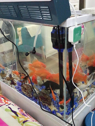 鱼缸氧气泵