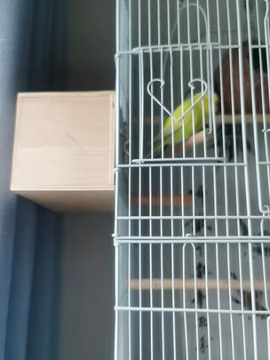 鸟笼
