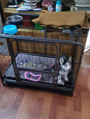 狗笼