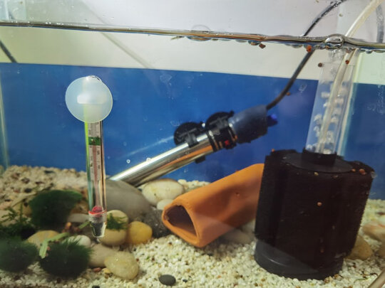 鱼缸加热棒