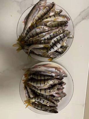 钓椅