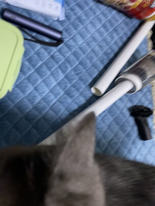 宠物吸毛器