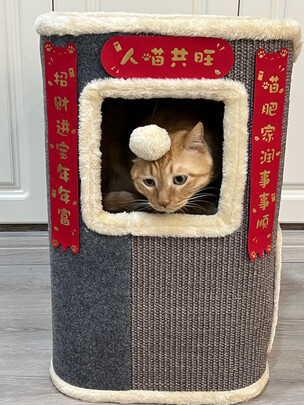 猫爬架