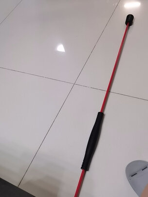 飞力士棒