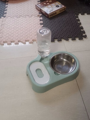 猫碗狗碗
