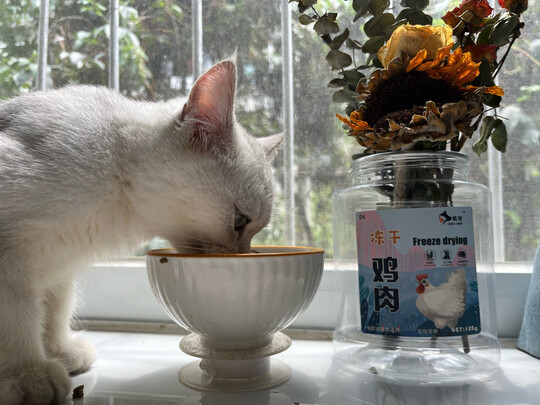 猫粮