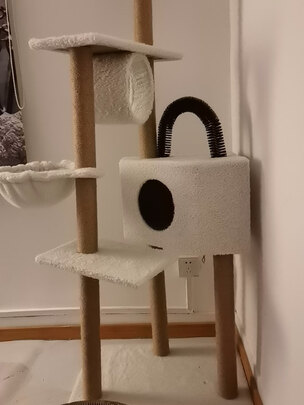 猫爬架