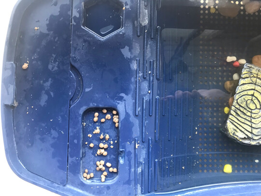 鱼缸底沙