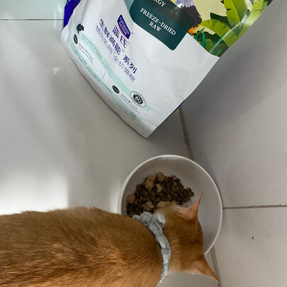 猫粮