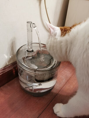 宠物饮水机