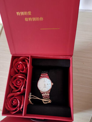 天王机械男表手表|客观评价天王机械男表手表怎么样？上手三周说真相