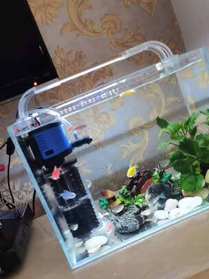 鱼缸水草灯