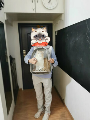 猫包