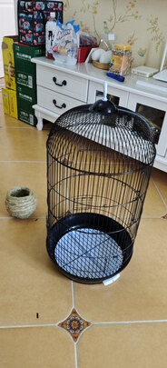 鸟笼