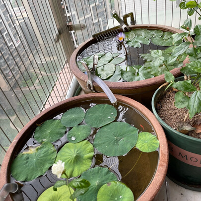 鱼缸过滤器