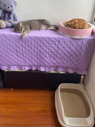猫砂盆