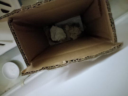 豆腐猫砂