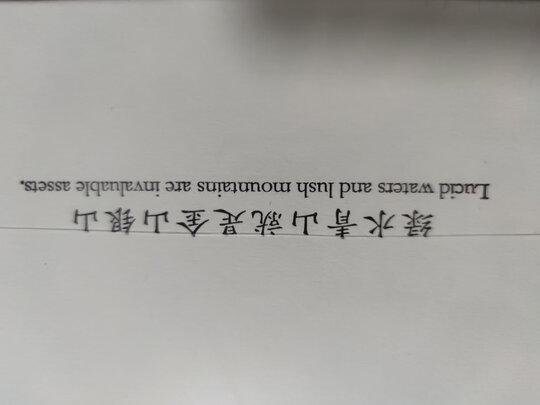 安吉白茶