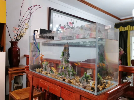 鱼缸鹅卵石