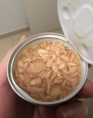 猫条猫零食