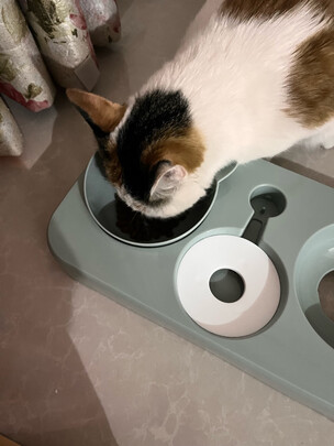 猫粮