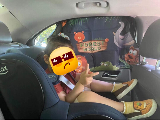 汽车窗帘