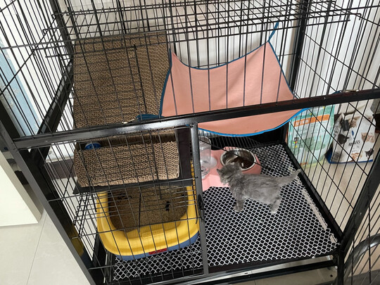 猫笼