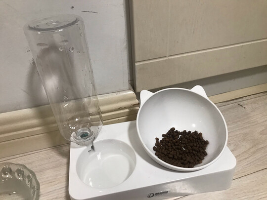 宠物饮水机