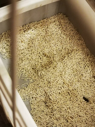 豆腐猫砂