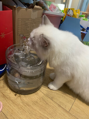 桶装水抽水器