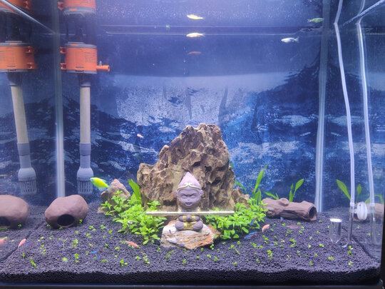 水草泥