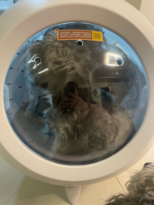  宠物烘干箱