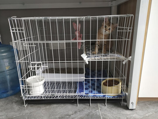  猫笼
