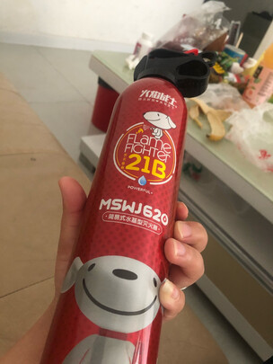 车载灭火器