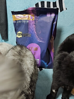 猫粮