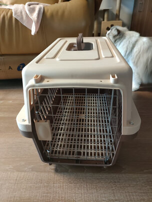 猫包