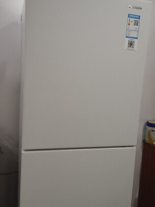 冰箱|松下NR-EC26WPA-W冰箱独家揭秘评测真相,不看后悔!