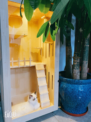  猫笼