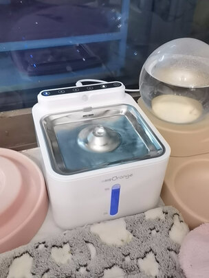 宠物饮水机