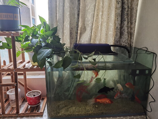 鱼缸水泵
